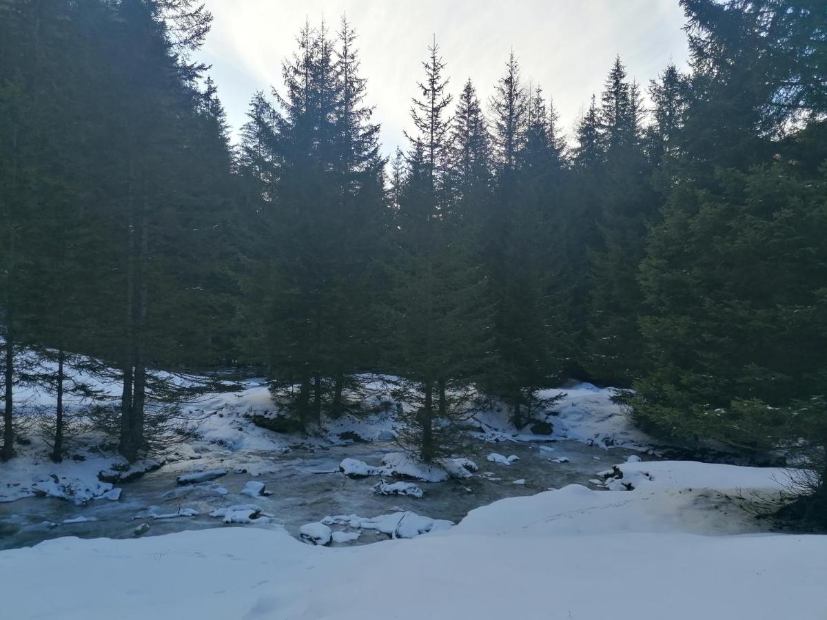 Ferienwohnungen Unterangerhof Quinzo Dış mekan fotoğraf